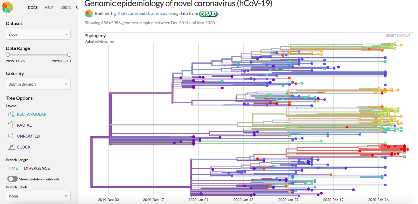 Tree map showing how the COVID-19 genome changed and diversified over time