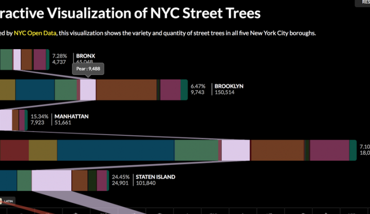 NYC Trees | Data-Smart City Solutions