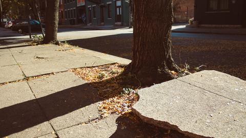 Large crack in sidewalk with raised, jagged edge