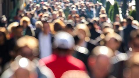 crowdwalkingsmall_0.jpg