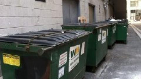 dumpsterssmall.jpeg