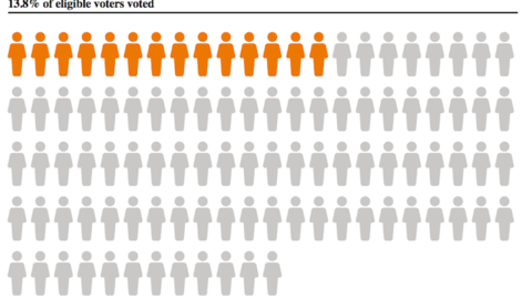 Outlines of human figures with a percentage colored in to represent 13.8% of people who voted