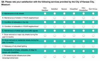 Screenshot of survey questions on satisfaction