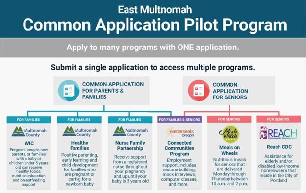 Common Application Pilot Program flyer; shows the two apps for parents/families and seniors, with the different programs under