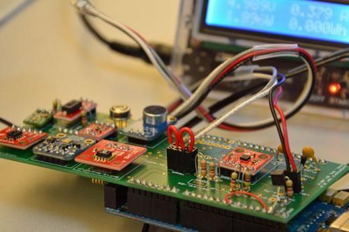 Waggle Chip