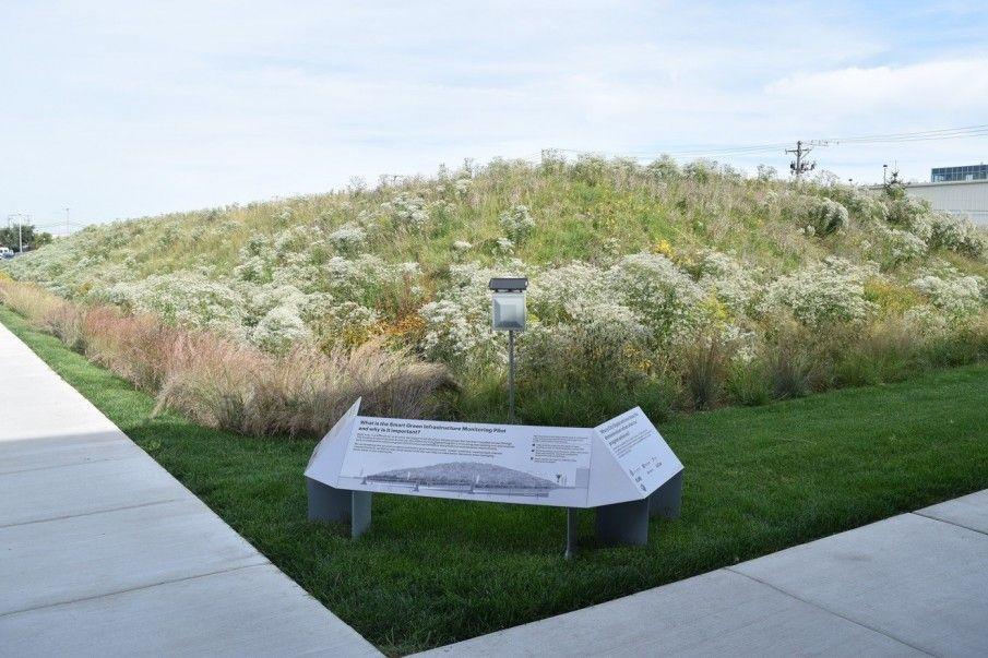 bioswale_pic_sgim.jpeg