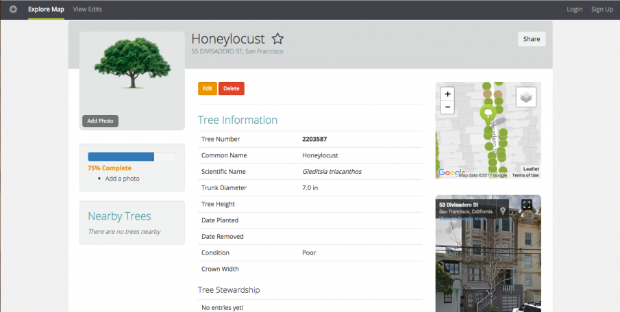 Profile/info of Honeylocust tree