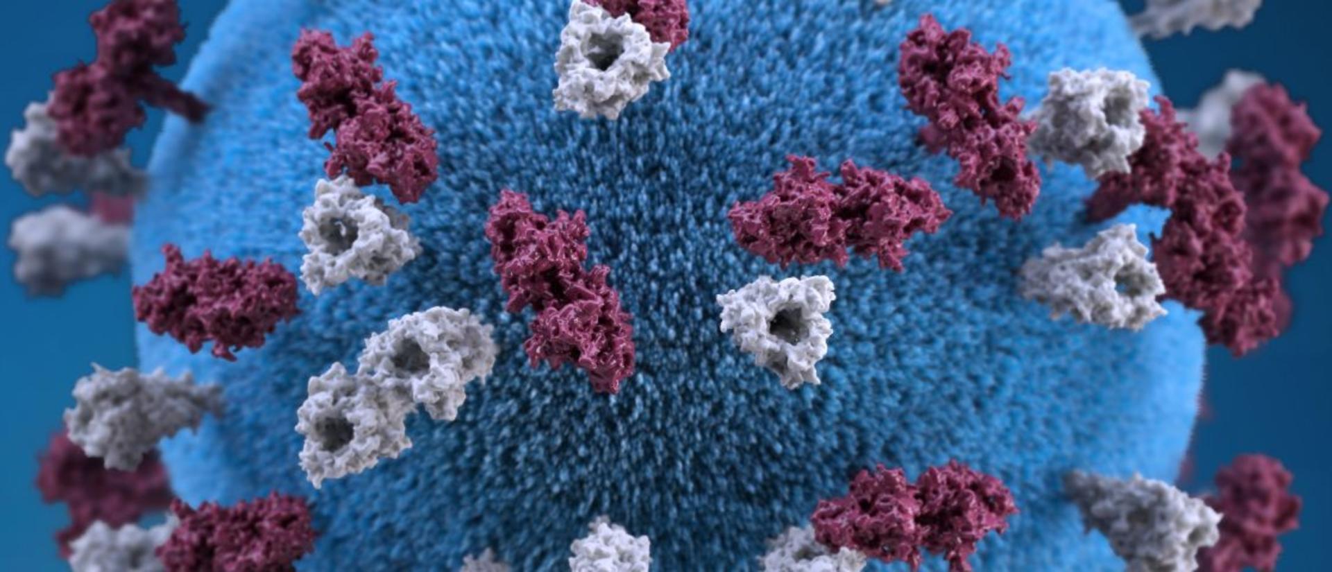 Microscopic coronavirus 