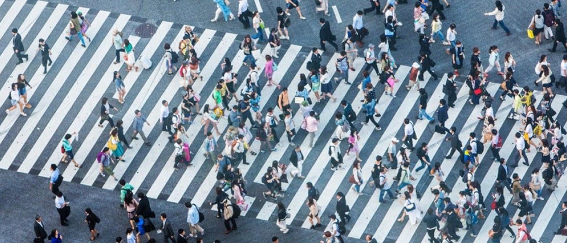 crosswalklarge.jpg