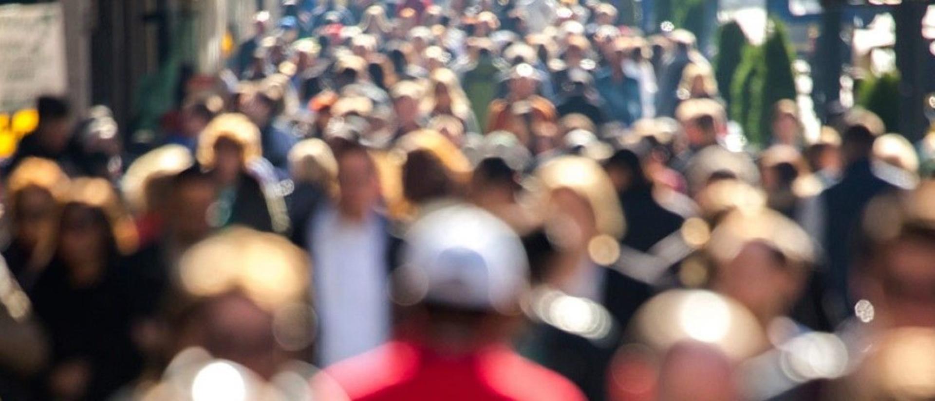 crowdwalkinglarge.jpg