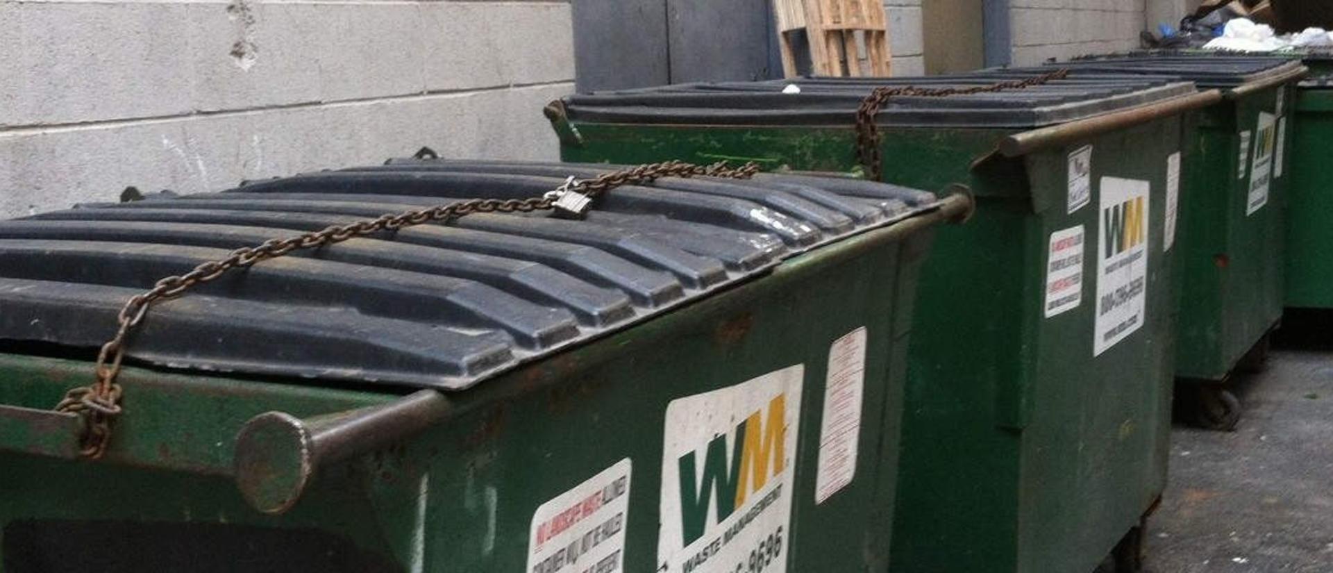 Dumpsters in an alley