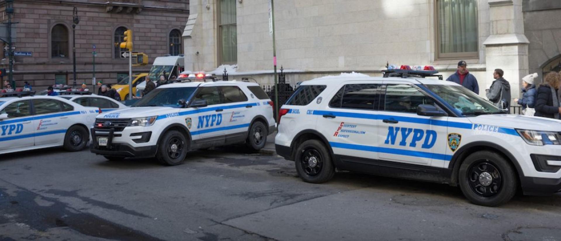 nyc_fleet_large.jpeg