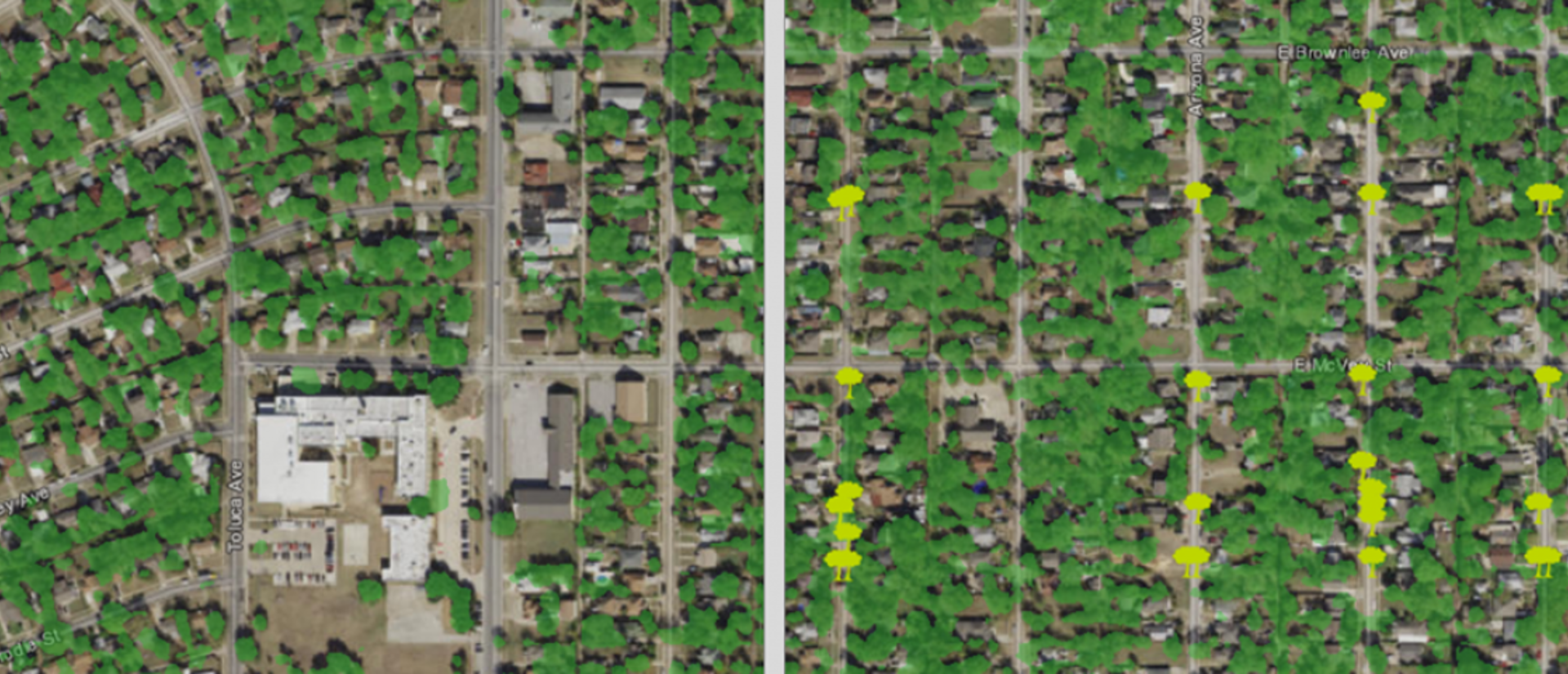 oak_cliff_large.png