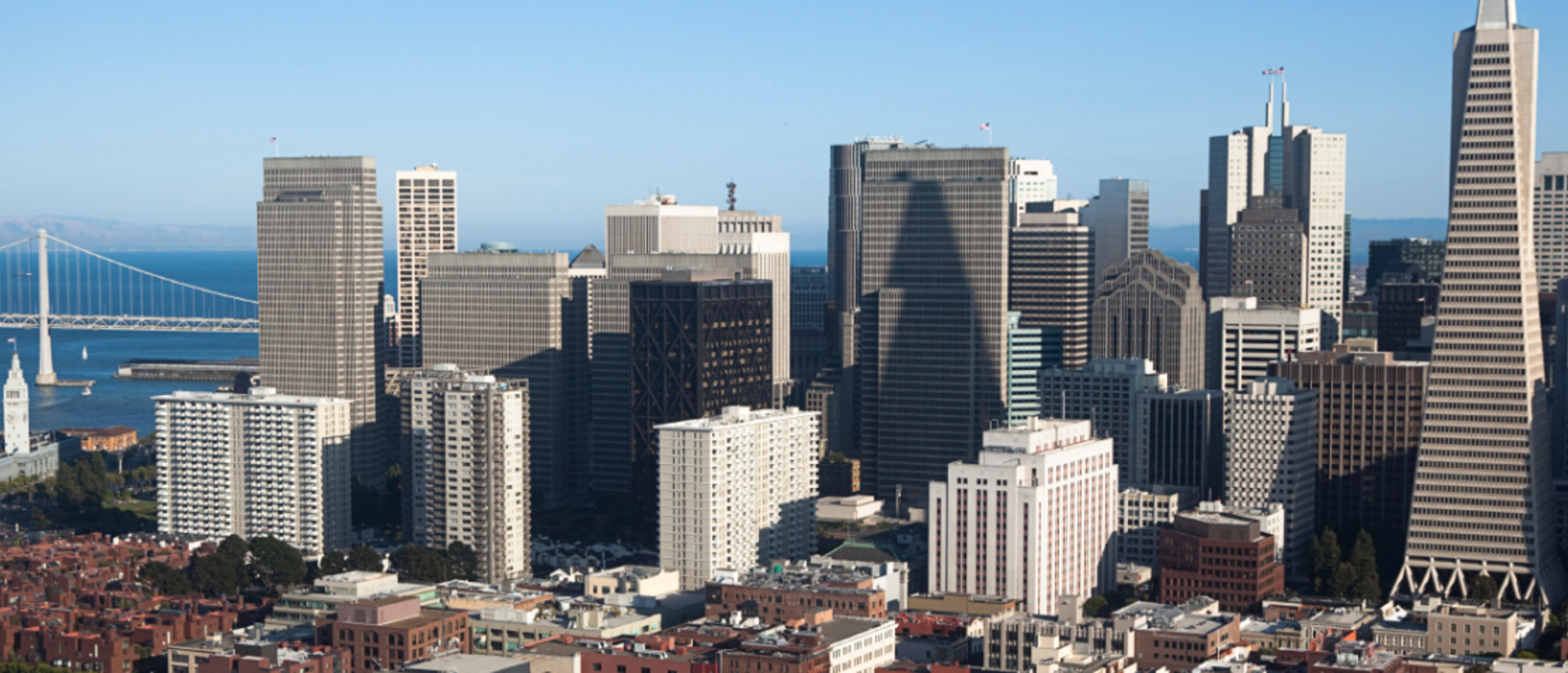 sf_large.png